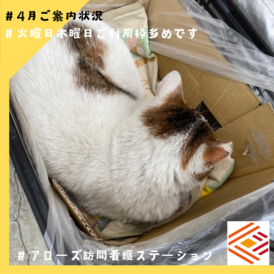 Instagram投稿しました